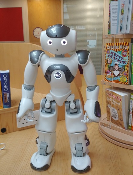 Used nao store robot for sale